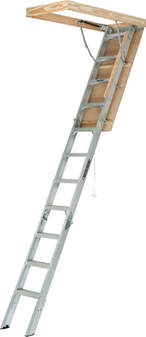 Attic Ladder